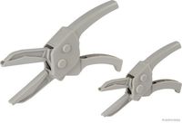 SCHLAUCHKLEMMENZANGEN-SET