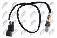 ламбда-сонда