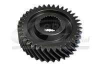 ROATA DINTATA ARBORE INTRARE CUTIE