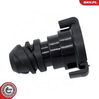 Article Picture