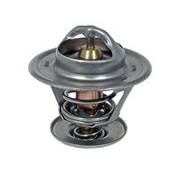 Thermostat, Kühlmittel