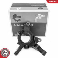 Steering Knuckle, wheel suspension