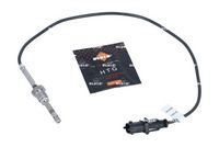 Sensor, Abgastemperatur