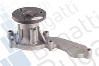 Wasserpumpe, Motorkühlung