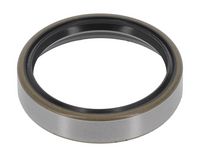 Wellendichtring, Radnabe