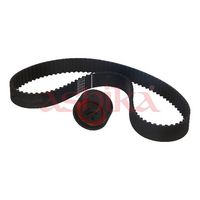 Set curea de distributie ASHIKA, Cod: KCT894