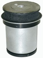 Lagerung, Achskörper