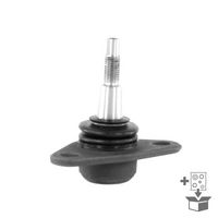 Trag-/Führungsgelenk