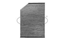 Filter, Innenraumluft