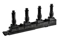 Bobina de inductie MTR, Cod: 12161398