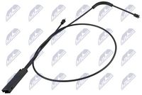 Article Picture