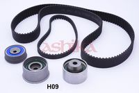 Set curea de distributie ASHIKA, Cod: KCTH09