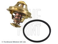 Thermostat, Kühlmittel