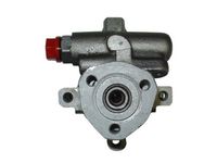 Hydraulikpumpe, Lenkung