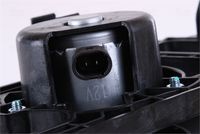 Article Picture