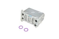 RADIATOR BATERIE DE ANTRENARE