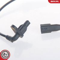 Article Picture