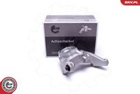 Steering Knuckle, wheel suspension