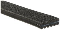 Ιμάντας poly-V Micro-V®