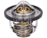 Thermostat, Kühlmittel
