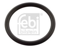 Dichtring, Ölablassschraube