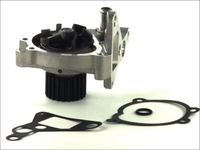 THERMOTEC Waterpomp, motorkoeling 2