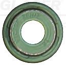 Dichtring, Ventilschaft