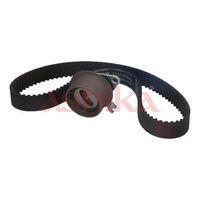 Set curea de distributie ASHIKA, Cod: KCT576
