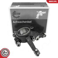 Steering Knuckle, wheel suspension