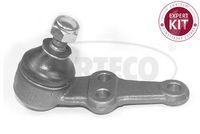 Trag-/Führungsgelenk