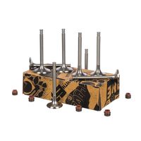 Thumbnail - Kleppenset, in-/uitlaatklep - VS0009 - ET ENGINETEAM