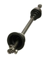 Article Picture