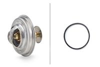 Thermostat, Kühlmittel