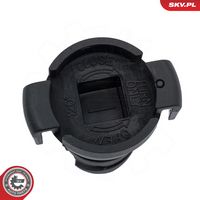 Article Picture