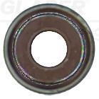 Dichtring, Ventilschaft