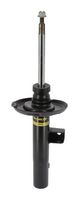 Article Picture