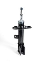Amortizor DR!VE+, Cod: DP1610.10.0022