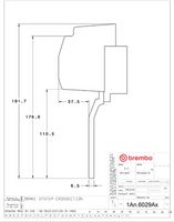 Set frana de performanta BREMBO, Cod: 1A1.6029A_