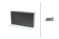 Филтър купе (поленов филтър)