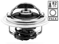 Thermostat, Kühlmittel