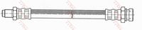 Article Picture