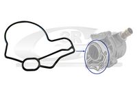 GARNITURA POMPA VACUUM