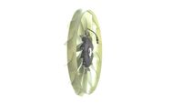 Thumbnail - Koelventilatorwiel - CFF487000P - MAHLE