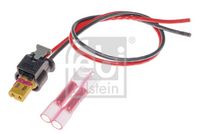 Stecker
