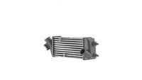 Thumbnail - Intercooler, inlaatluchtkoeler - CI693000S - MAHLE