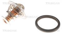 Thermostat, Kühlmittel