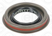 Wellendichtring, Differential