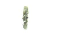 Thumbnail - Koelventilatorwiel - CFF484000P - MAHLE