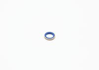 Blīve, Pamatlukturu rāmis