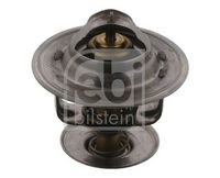 Thermostat, Kühlmittel